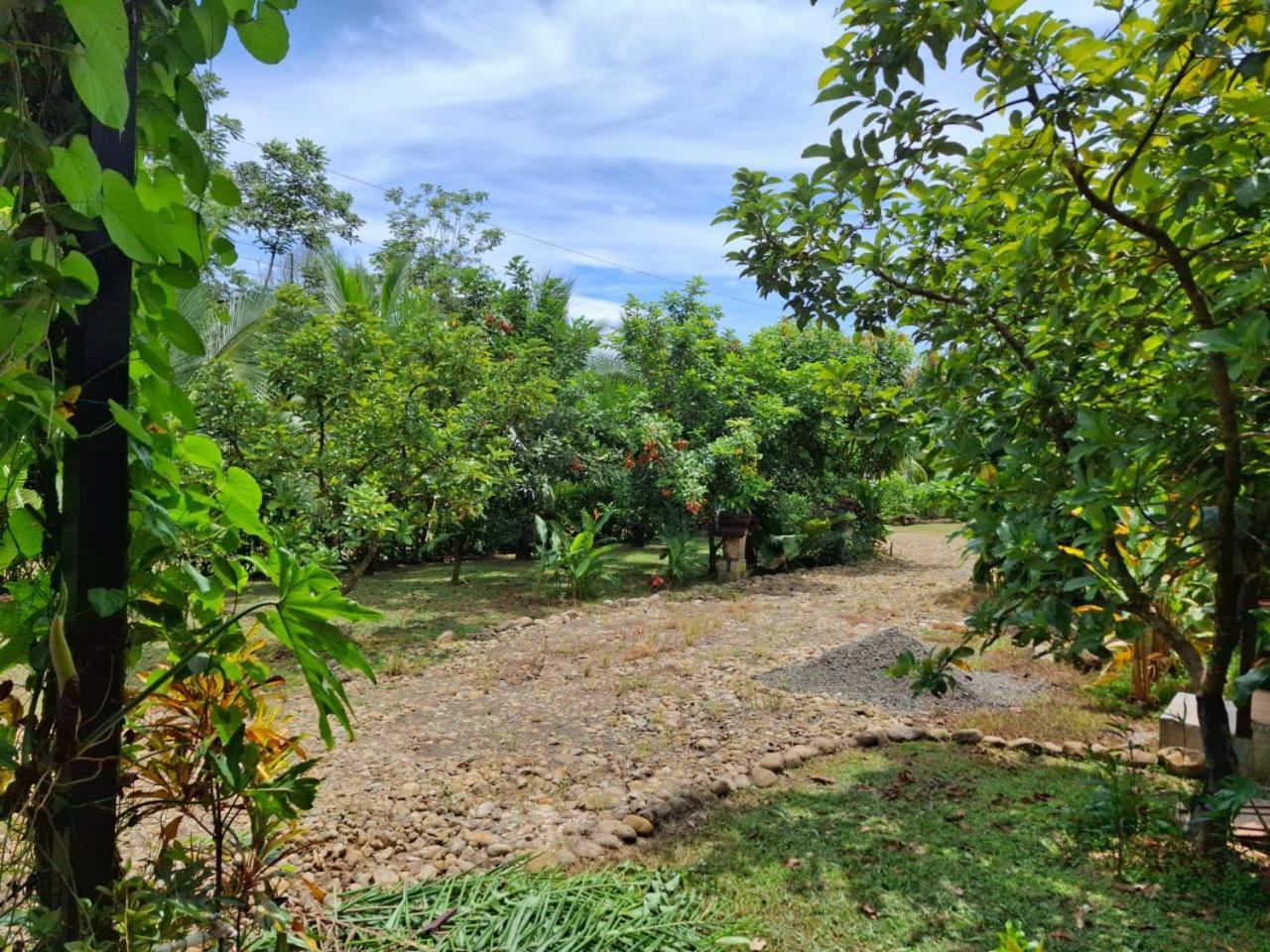 Bungalow Batsu La Fortuna Εξωτερικό φωτογραφία